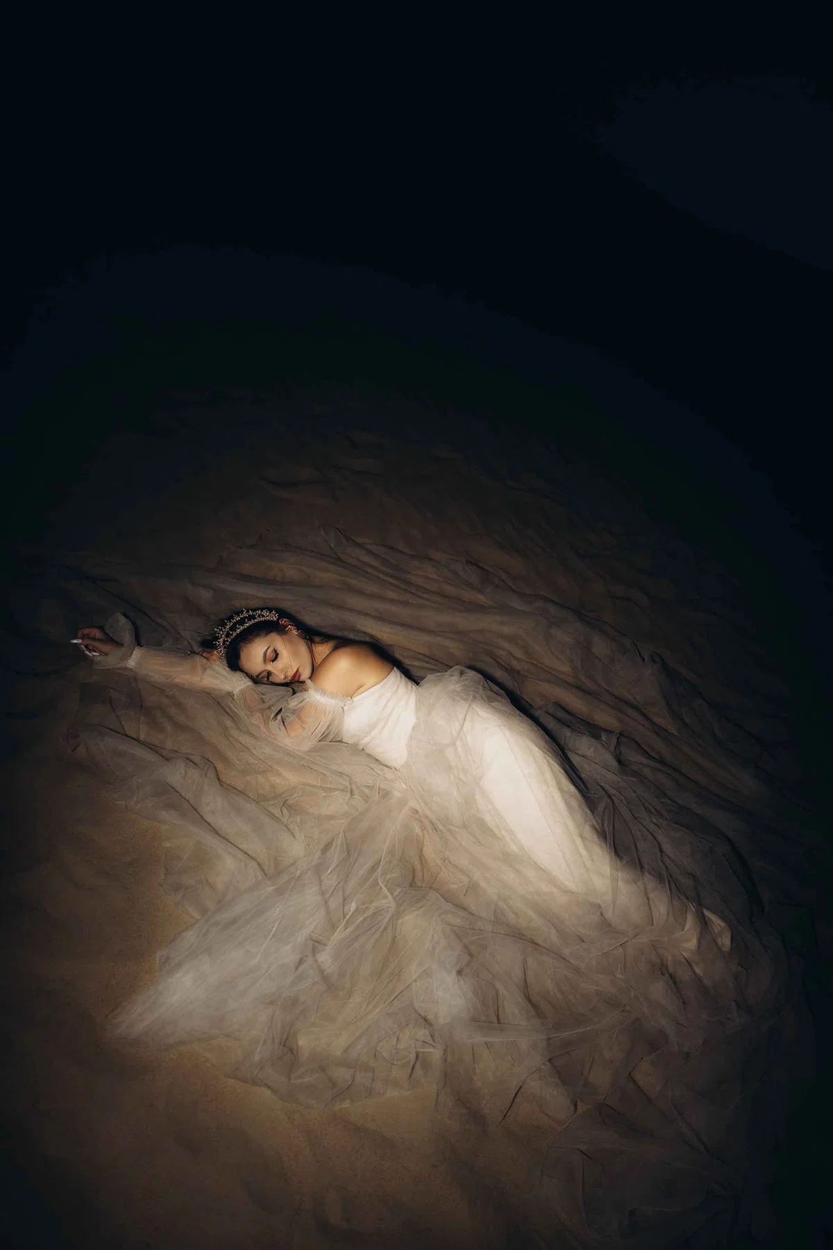 Modern Beige Tulle view 2